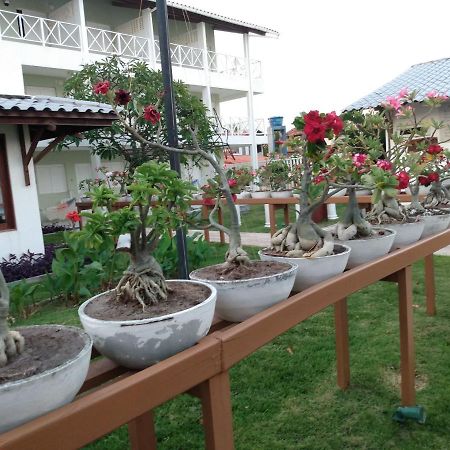 Brisamar Hotel Pousada Barra de São Miguel Zewnętrze zdjęcie